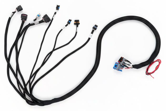 02-05 2.2 Ecotec harness