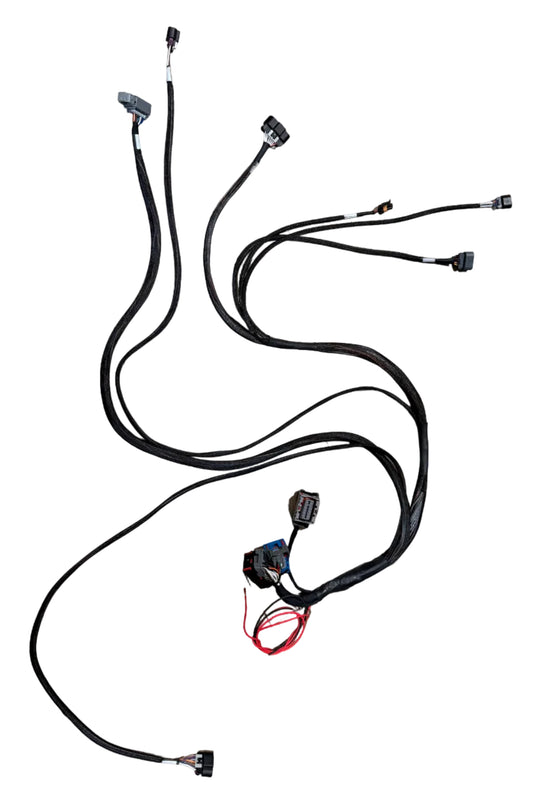 2004-2006 3500 LX9 Simplfiied Harness