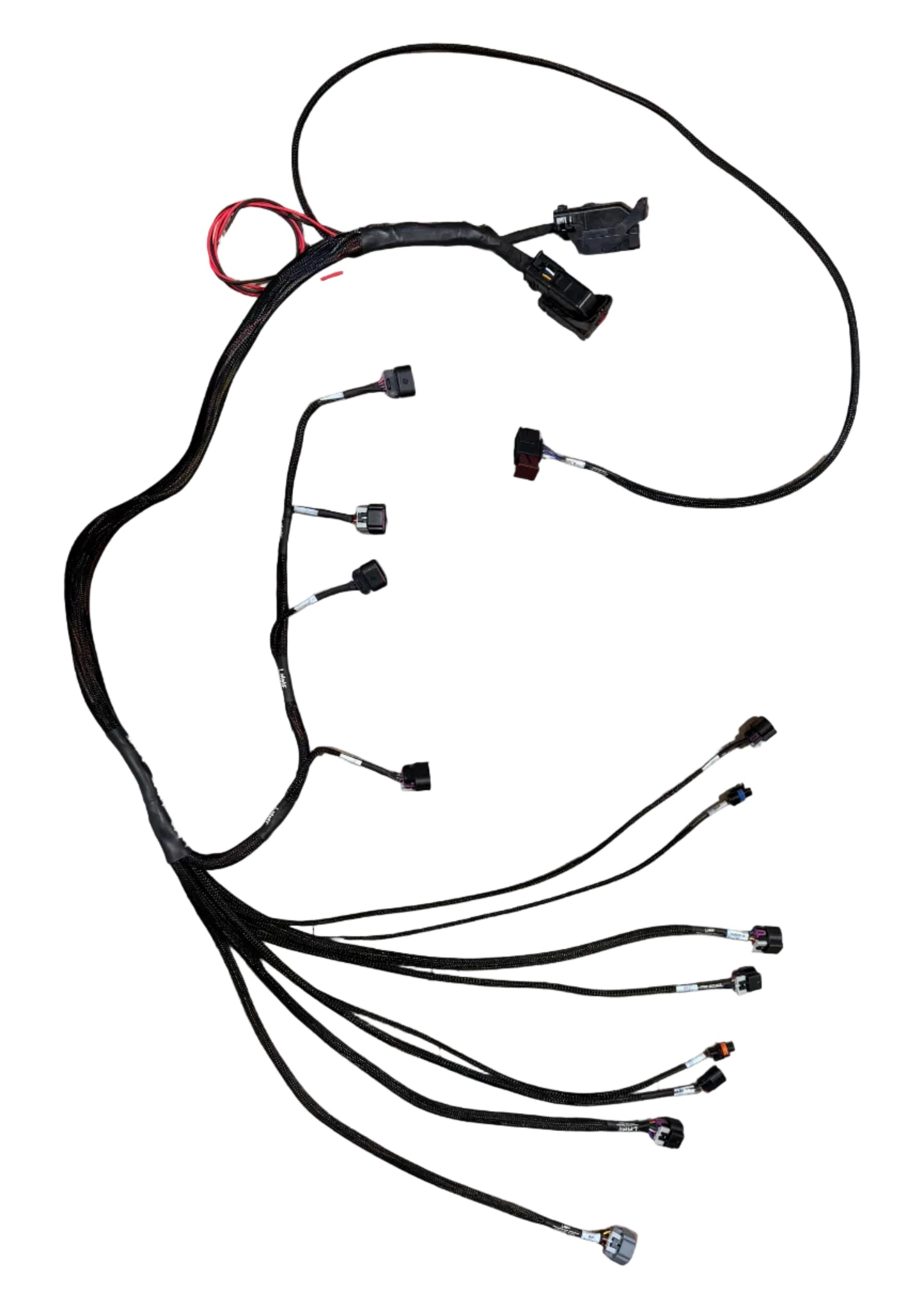 2007+ GM 2.2L DBW Simplified Standalone Harness
