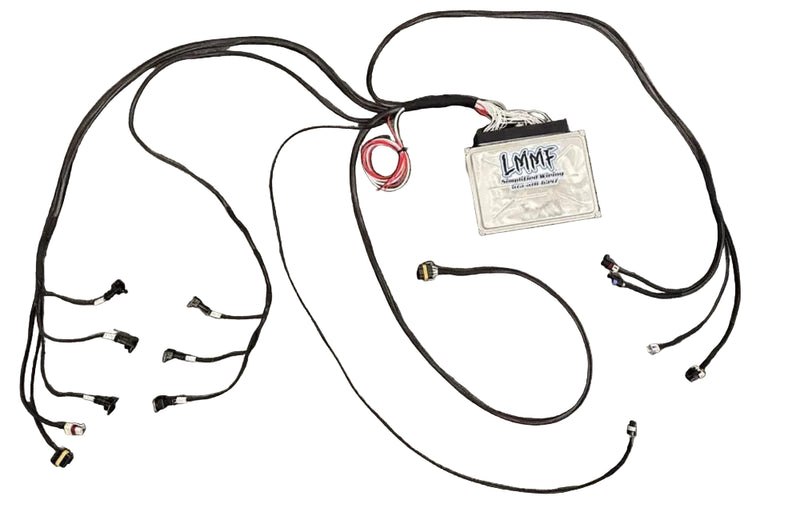 1998–2005 GM 3800 Series II Harness + Tuned ECM Package — No Core Required