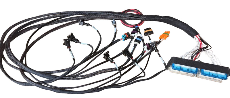 1998–2005 GM 3800 Supercharged L67/L32 Simplified Harness — ECM Sold Separately