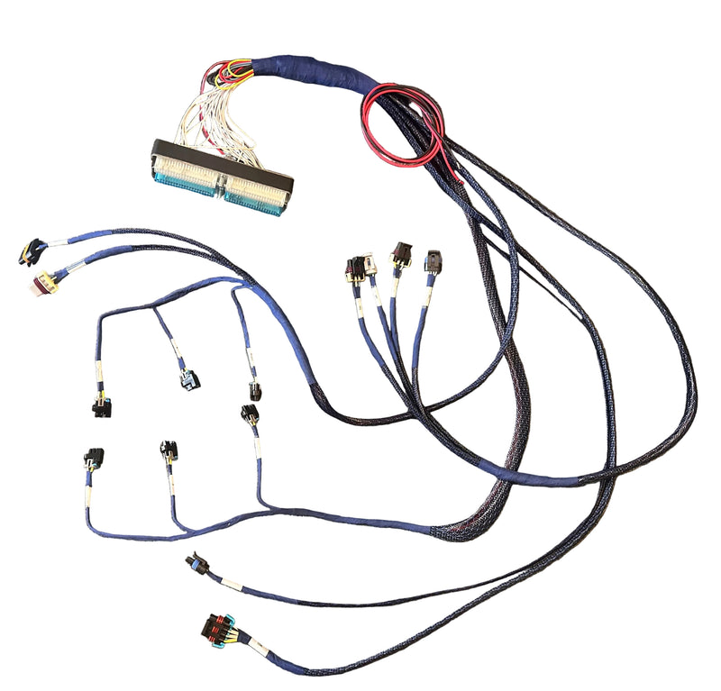 98-05 3800 Simplified wiring harness
