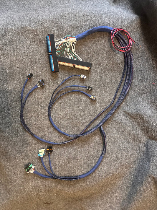 96-97 3100 Simplified harness