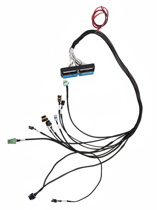 1997-2001 GM 2.2 SFI Simplified harness