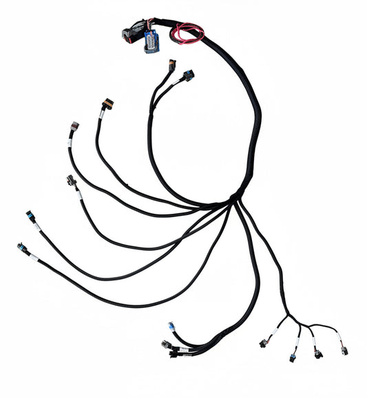 2002 GM 2.2 stand alone harness